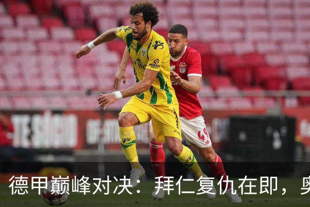 德甲巅峰对决：拜仁复仇在即，奥格斯堡拼命狂奔