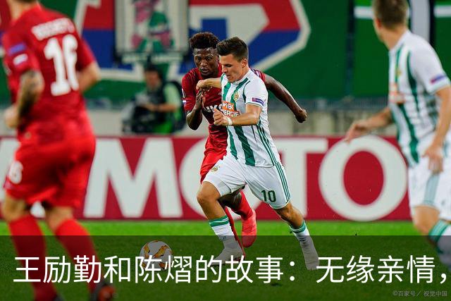 王励勤和陈熠的故事：无缘亲情，却如师徒情深